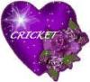 Cricket